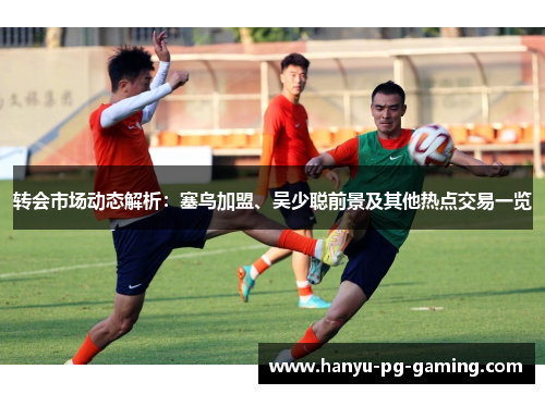 转会市场动态解析：塞鸟加盟、吴少聪前景及其他热点交易一览